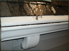 Fully-Covered Gutter Covers Don't Work