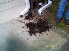 Get Your Dirty Gutters Cleaned by Alpharetta's Best Gutter Cleaners